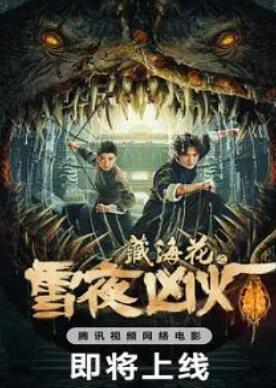 藏海花之雪夜凶灯-高清视频在线观看图片 藏海花之雪夜凶灯-高清视频在线观看图片