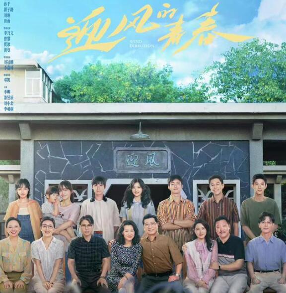 迎风的青春电视剧在线观看图片 迎风的青春电视剧在线观看图片